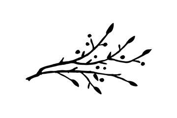 tree branch with leaves isolate. twig silhouette floral element for design