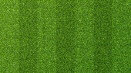 Fototapete - Green grass texture for sport background. Detailed pattern of green soccer field or football field grass lawn texture. Green lawn texture background.