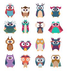 Wall Mural - Owl kids. Cute baby birds in various poses vector colored funny wild animals cartoon collection. Illustration owl and owlet cartoon, fun birds