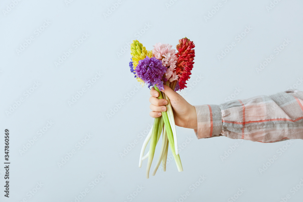 Female hand with beautiful hyacinth flowers on grey background