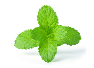 Fresh mint leaves isolated on white background