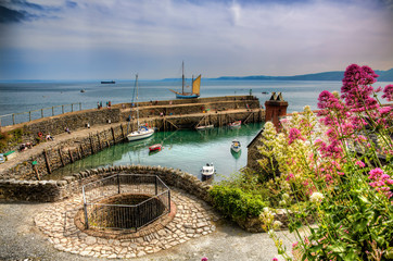 Wall Mural - From the Beautiful Fishing Port of Clovelly in Devon