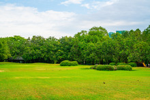 Green Nature Public City Park Green Meadow Grass Sky With Cloud