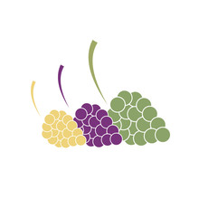Vector Illustration Of Multi-colored Clusters Of Grapes On A White Background. Icon, Logo Or Graphic Element For Your Design.