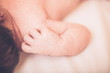 © Inception - Close-up Newborn baby on bed with lots of dark hair.