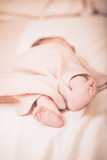 Fototapeta Zwierzęta - Close up picture of newborn baby feet. Sleeping newborn baby on a light blanket.