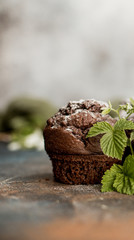 Three delicious chocolate muffins on a brown background