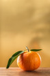 © Miguel - Orange tangerine with green leaves and morning light on rustic and golden background