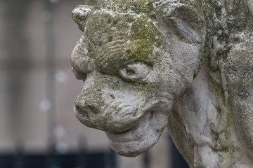  Old vintage Gargoyle statue in the form of a medieval winged monster.
