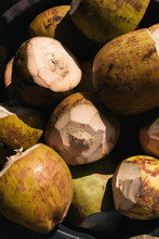 Fresh Coconuts For Sale By Roadside Vendor In Caribbean