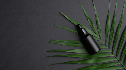 Black essential oil dropper bottle mockup with palm leaf on black background. Luxury cosmetic packaging template design Flat lay, top view.