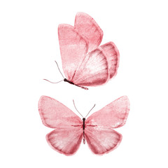 Poster - red watercolor butterflies isolated on a white