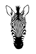 Zebra Head, Animal Face Isolated On White Background Vector Illustration. Graphic Design For Logo. Wildlife And Fauna Zoo