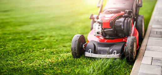 Lawn mover on green grass in modern garden.