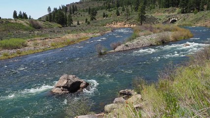 Wall Mural - The Truckee river flowing in the spring with fresh snow run off