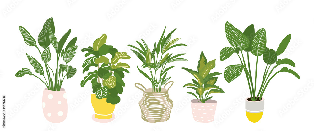 potted plants collection. succulents and house plants. hand drawn vector illustration.
Set of house indoor plant vector cartoon doodle. - obrazy, fototapety, plakaty 