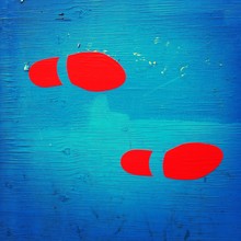 Close-up Of Red Footprints On Blue Surface