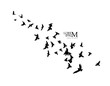 A flock of flying silhouette birds. Vector illustration