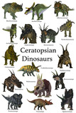 Fototapeta Konie - Ceratopsian Dinosaurs - A collection set of Ceratops beaked dinosaurs from the Cretaceous Period of the world's history of animals.