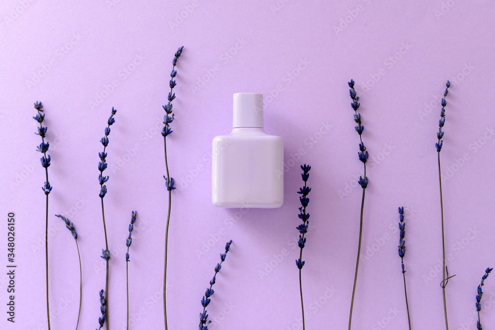 Bottle of perfume with lavender flowers on color background