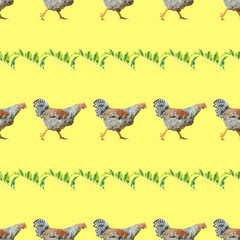 Canvas Print - Cock, seamless pattern.