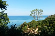 Scenic View Of Sea Against Clear Blue Sky