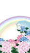 紫陽花のピンクやブルーの花とテルテル坊主に傘と虹のイラストワイドサイズ縦スタイルバーチャル背景