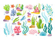 Large collection with marine objects and fish. Vector set with seaweed and sea animals.