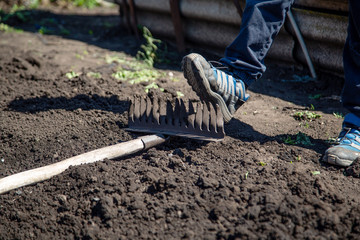 foot stepping on a rake