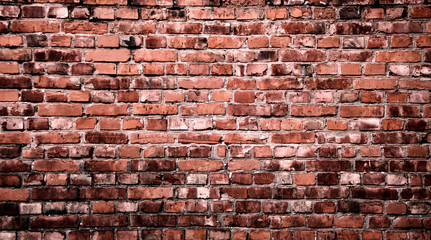  A grungy brick wall texture as background.