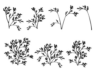 Wall Mural - set of black coral seaweeds silhouettes flat vector illustration isolated on white background