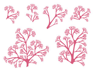 Wall Mural - set of red coral seaweeds silhouettes flat vector illustration isolated on white background