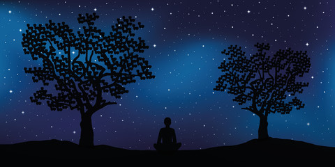 Wall Mural - relaxing lonely person enjoy the starry sky in the nature between trees vector illustration EPS10
