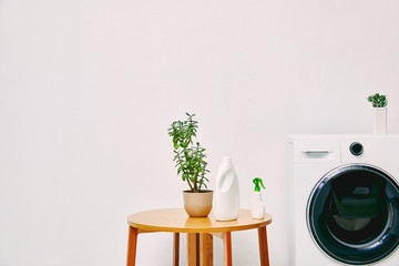 Wall Mural - green plant and bottles on coffee table near modern washing machine in bathroom