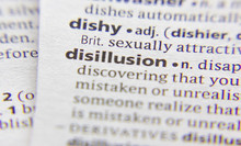 Disillusion Word Or Phrase In A Dictionary.