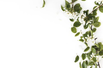 Wall Mural - spring composition. blooming spring pear branches on a white background, floral frame, top view, fla