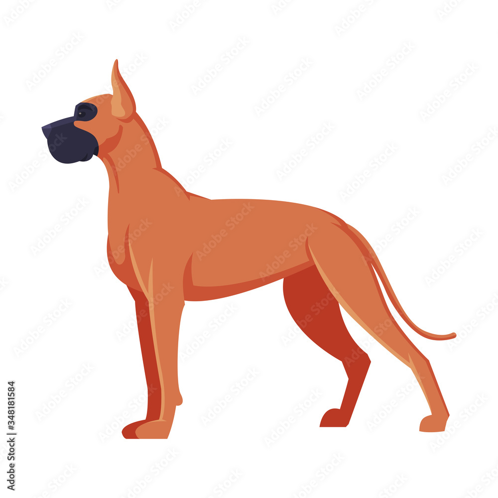 Great Dane Boxer Purebred Dog, Pet Animal, Side View Vector Illustration - obrazy, fototapety, plakaty 