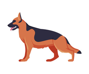 Poster - German Shepherd Purebred Dog, Pet Animal, Side View Vector Illustration