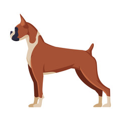 Poster - Boxer Purebred Dog, Pet Animal, Side View Vector Illustration