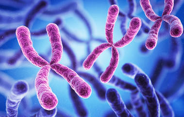 Wall Mural - 3d illustration of x chromosome, medicine. medical science and biotechnology background.