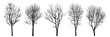 .Winter trees silhouettes collection. Set of isolated vector design elements..  Hand drawn  illustration in sketch style.  Nature template. Clipart.