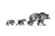 © INESA - .. She-Bear  and her cubs.Hand drawn vector illustration. Vintage image of wildlife.