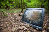 Fototapeta  - Stary telewizor wyrzucony w lesie.