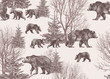 © INESA - .Landscape with bears, cubs, winter trees and fir trees. Wildlife seamless pattern. Hand drawn vector vintage illustration.
