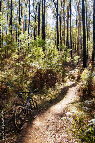 Fotomural Buxton Mountain Bike Park in Australia