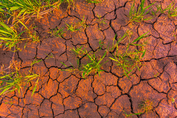 cracked earth, metaphoric for climate change and global warming