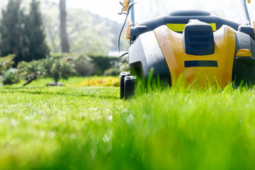 summer and spring season sunny lawn mowing in the garden. selective focus image.