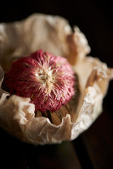 Canvas Print - Chinese flowering tea with wrapping paper 