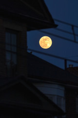 Wall Mural - Full moon rising behind a house during blue hour dusk, just after the sun set. Silhouette of power lines and the house. 