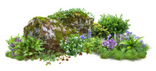 Cutout Rock Surrounded By Flowers. Garden Design Isolated On White Background. Flowering Shrub And Green Plants For Landscaping. Decorative Shrub And Flower Bed.